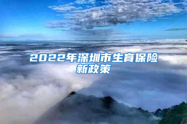 2022年深圳市生育保險新政策