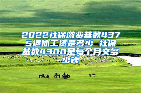 2022社保繳費(fèi)基數(shù)4375退休工資是多少 社?；鶖?shù)4300是每個月交多少錢