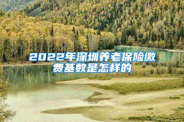 2022年深圳養(yǎng)老保險繳費基數(shù)是怎樣的