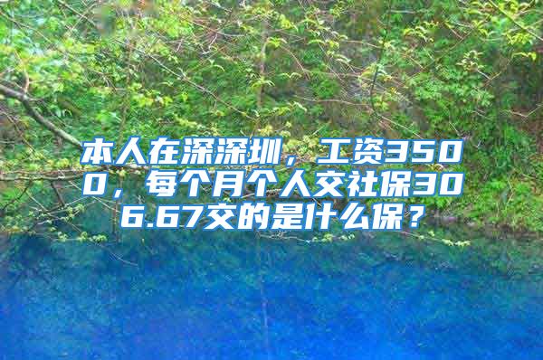 本人在深深圳，工資3500，每個(gè)月個(gè)人交社保306.67交的是什么保？