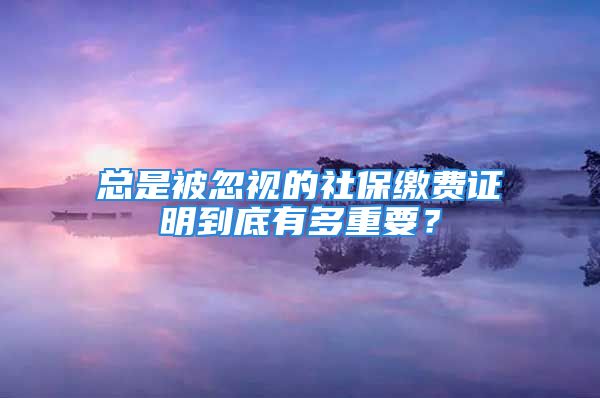 總是被忽視的社保繳費(fèi)證明到底有多重要？