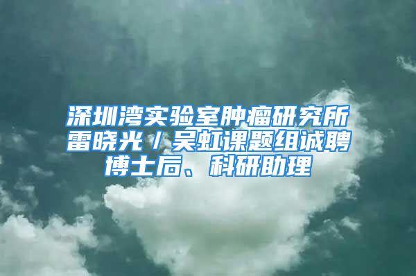 深圳灣實(shí)驗(yàn)室腫瘤研究所雷曉光／吳虹課題組誠聘博士后、科研助理