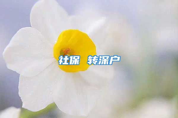 社保 轉(zhuǎn)深戶