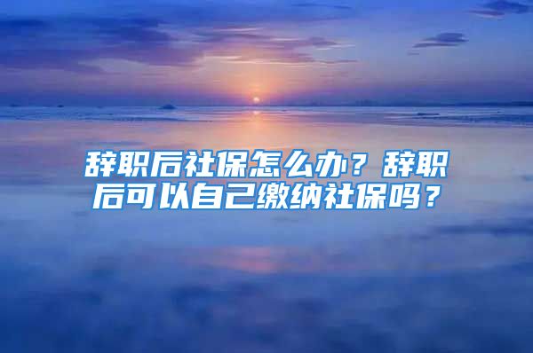 辭職后社保怎么辦？辭職后可以自己繳納社保嗎？