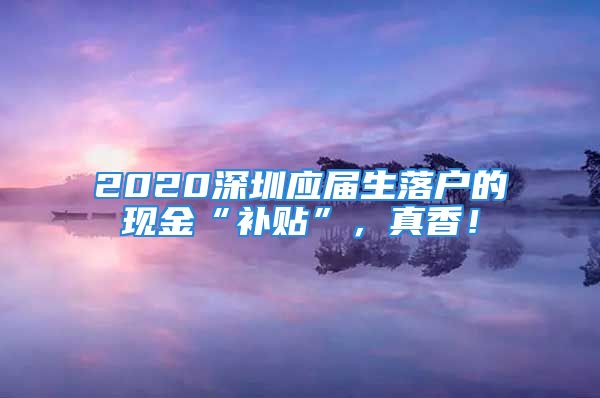 2020深圳應(yīng)屆生落戶的現(xiàn)金“補(bǔ)貼”，真香！