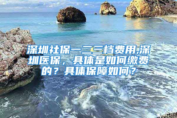 深圳社保一二三檔費用,深圳醫(yī)保，具體是如何繳費的？具體保障如何？