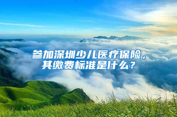 參加深圳少兒醫(yī)療保險，其繳費標準是什么？