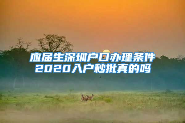 應(yīng)屆生深圳戶(hù)口辦理?xiàng)l件2020入戶(hù)秒批真的嗎