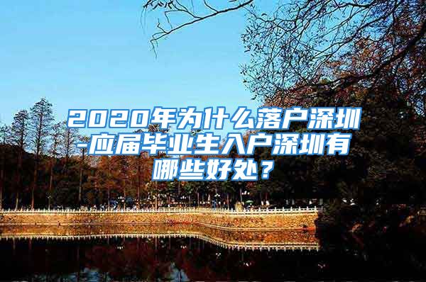 2020年為什么落戶(hù)深圳-應(yīng)屆畢業(yè)生入戶(hù)深圳有哪些好處？