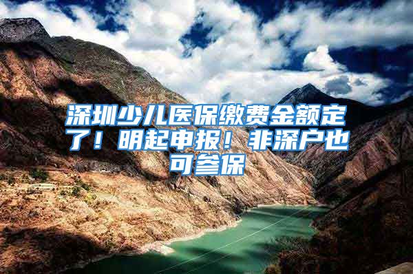 深圳少兒醫(yī)保繳費金額定了！明起申報！非深戶也可參保