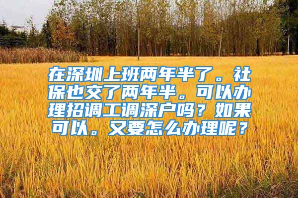 在深圳上班兩年半了。社保也交了兩年半?？梢赞k理招調(diào)工調(diào)深戶嗎？如果可以。又要怎么辦理呢？