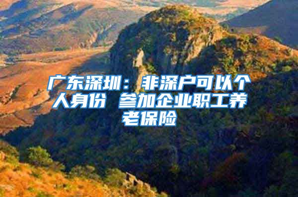 廣東深圳：非深戶可以個(gè)人身份 參加企業(yè)職工養(yǎng)老保險(xiǎn)