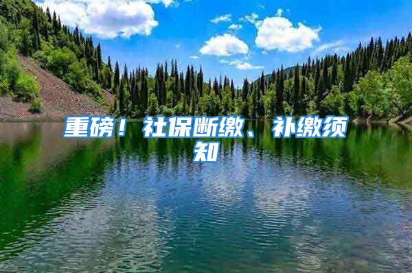 重磅！社保斷繳、補繳須知