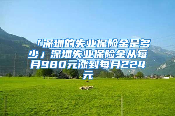 「深圳的失業(yè)保險(xiǎn)金是多少」深圳失業(yè)保險(xiǎn)金從每月980元漲到每月224元