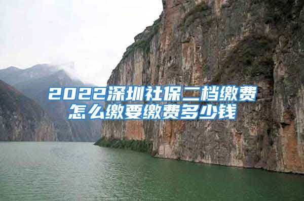 2022深圳社保二檔繳費怎么繳要繳費多少錢