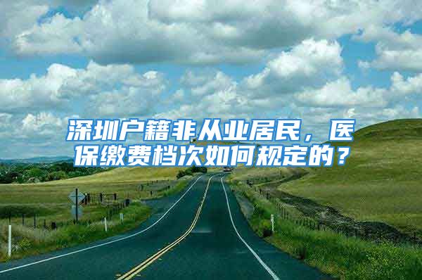 深圳戶籍非從業(yè)居民，醫(yī)保繳費(fèi)檔次如何規(guī)定的？