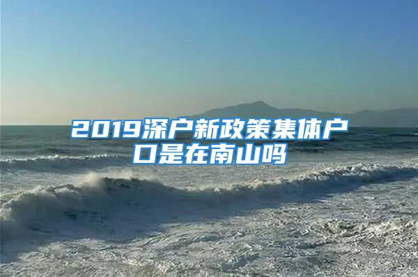 2019深戶新政策集體戶口是在南山嗎