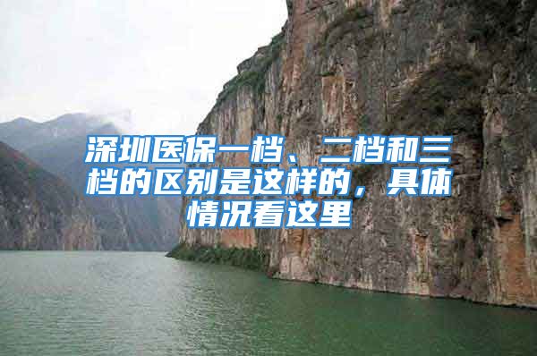 深圳醫(yī)保一檔、二檔和三檔的區(qū)別是這樣的，具體情況看這里