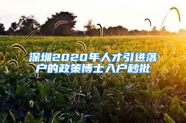 深圳2020年人才引進(jìn)落戶的政策博士入戶秒批