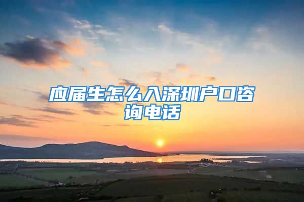 應(yīng)屆生怎么入深圳戶口咨詢電話