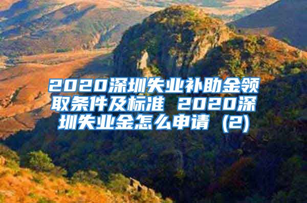 2020深圳失業(yè)補助金領取條件及標準 2020深圳失業(yè)金怎么申請 (2)