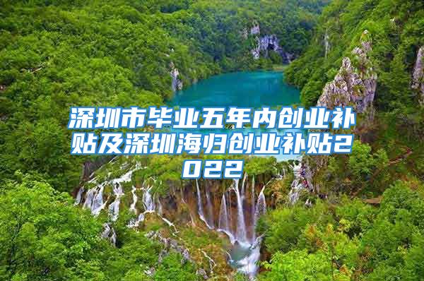 深圳市畢業(yè)五年內創(chuàng)業(yè)補貼及深圳海歸創(chuàng)業(yè)補貼2022