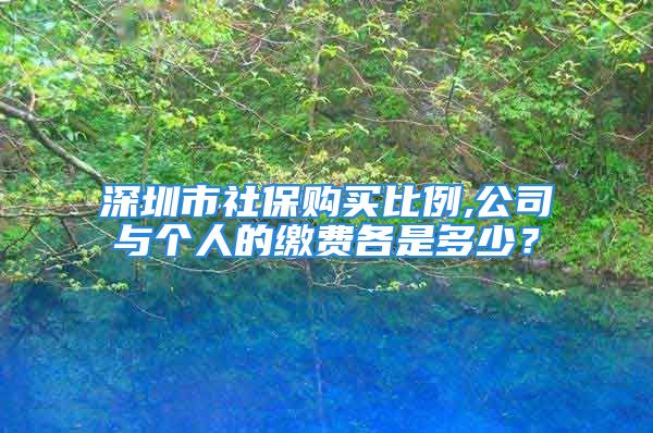 深圳市社保購(gòu)買(mǎi)比例,公司與個(gè)人的繳費(fèi)各是多少？