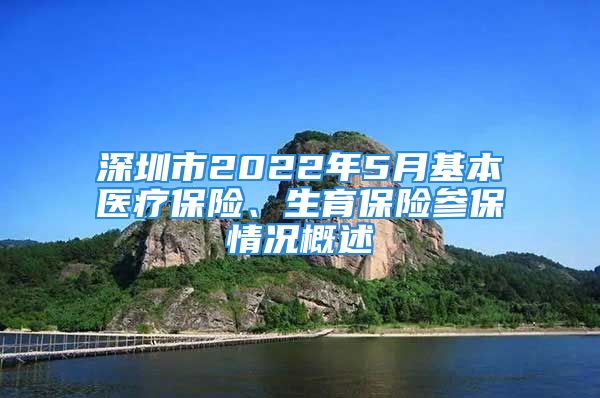 深圳市2022年5月基本醫(yī)療保險、生育保險參保情況概述