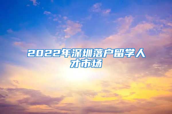 2022年深圳落戶(hù)留學(xué)人才市場(chǎng)