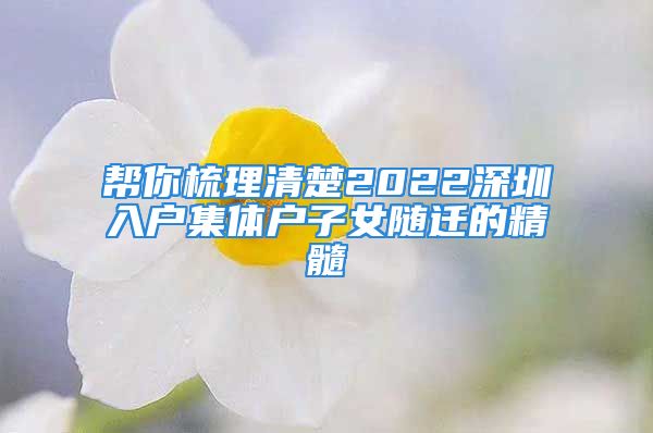 幫你梳理清楚2022深圳入戶集體戶子女隨遷的精髓