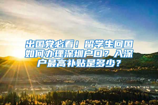 出國黨必看！留學生回國如何辦理深圳戶口？入深戶最高補貼是多少？