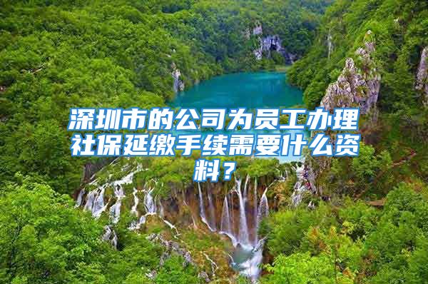 深圳市的公司為員工辦理社保延繳手續(xù)需要什么資料？