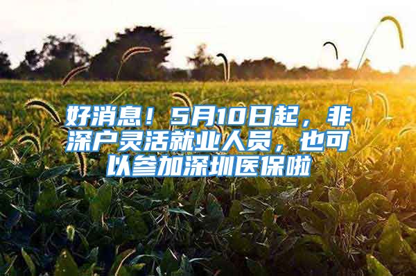 好消息！5月10日起，非深戶靈活就業(yè)人員，也可以參加深圳醫(yī)保啦