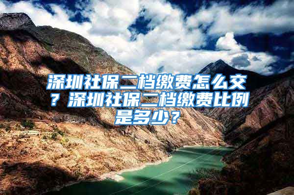 深圳社保二檔繳費(fèi)怎么交？深圳社保二檔繳費(fèi)比例是多少？