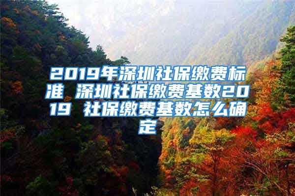 2019年深圳社保繳費(fèi)標(biāo)準(zhǔn) 深圳社保繳費(fèi)基數(shù)2019 社保繳費(fèi)基數(shù)怎么確定