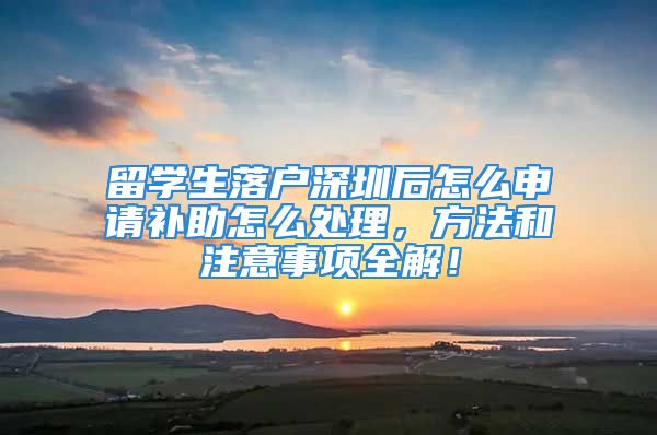 留學(xué)生落戶深圳后怎么申請(qǐng)補(bǔ)助怎么處理，方法和注意事項(xiàng)全解！