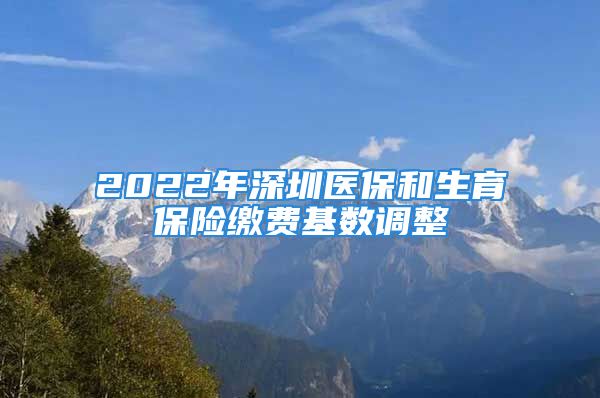 2022年深圳醫(yī)保和生育保險繳費基數(shù)調(diào)整