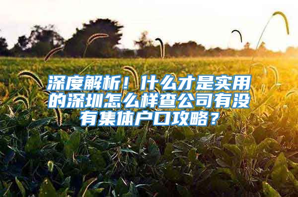 深度解析！什么才是實(shí)用的深圳怎么樣查公司有沒有集體戶口攻略？