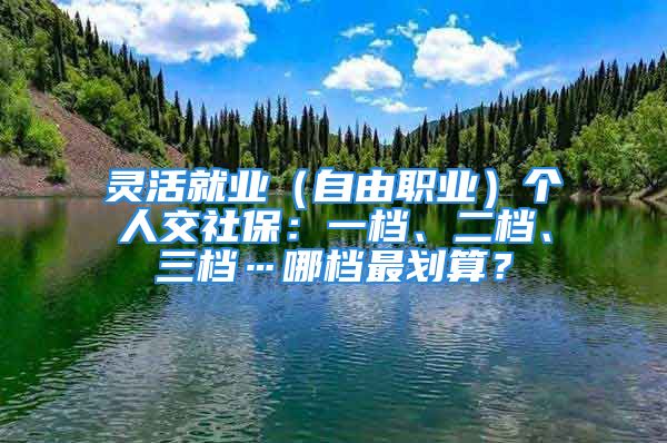 靈活就業(yè)（自由職業(yè)）個(gè)人交社保：一檔、二檔、三檔…哪檔最劃算？