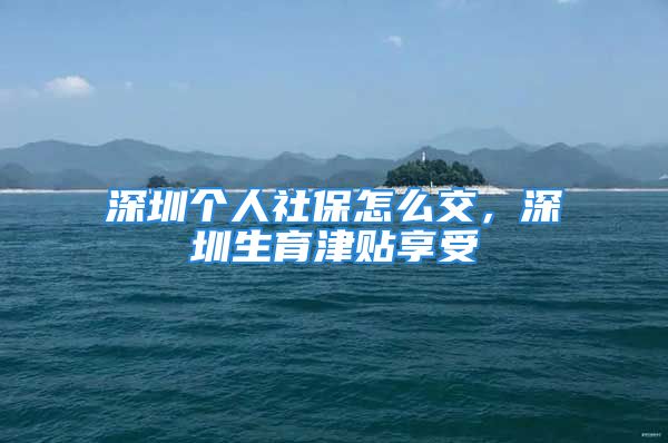 深圳個(gè)人社保怎么交，深圳生育津貼享受