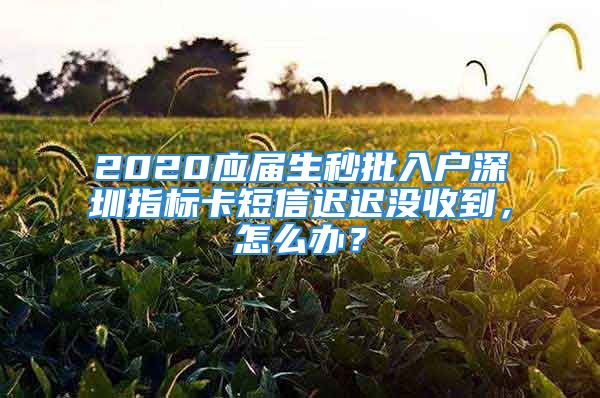 2020應(yīng)屆生秒批入戶深圳指標(biāo)卡短信遲遲沒(méi)收到，怎么辦？