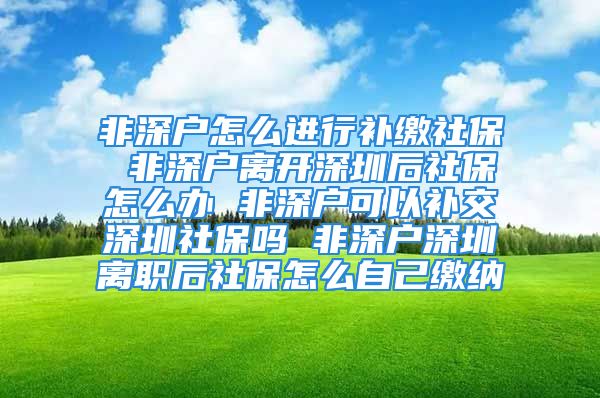 非深戶怎么進(jìn)行補(bǔ)繳社保 非深戶離開深圳后社保怎么辦 非深戶可以補(bǔ)交深圳社保嗎 非深戶深圳離職后社保怎么自己繳納