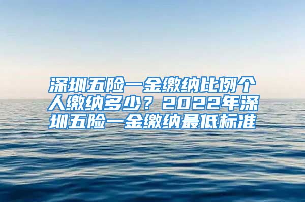 深圳五險一金繳納比例個人繳納多少？2022年深圳五險一金繳納最低標準