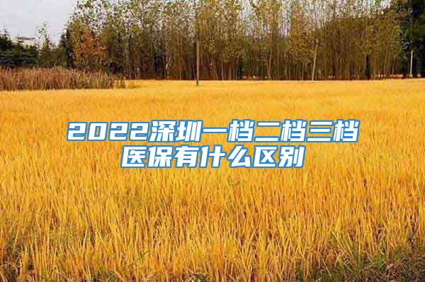 2022深圳一檔二檔三檔醫(yī)保有什么區(qū)別