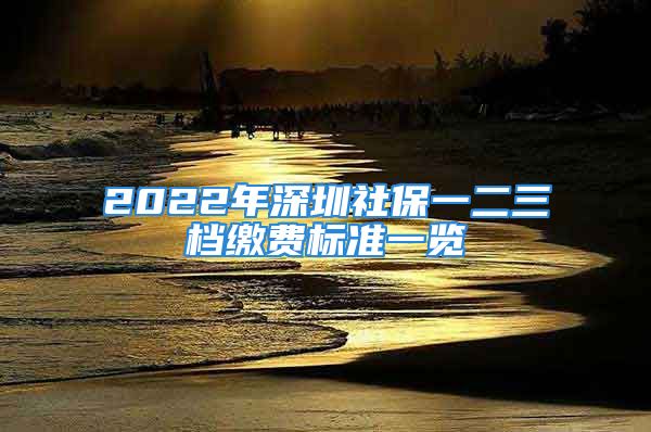 2022年深圳社保一二三檔繳費標(biāo)準(zhǔn)一覽