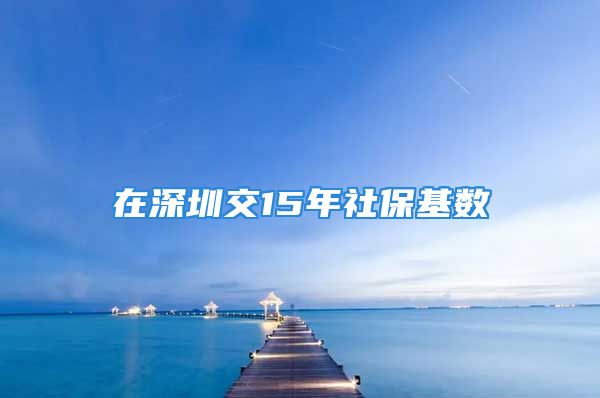 在深圳交15年社?；鶖?shù)