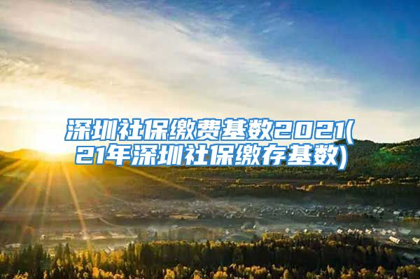 深圳社保繳費(fèi)基數(shù)2021(21年深圳社保繳存基數(shù))