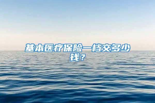 基本醫(yī)療保險一檔交多少錢？