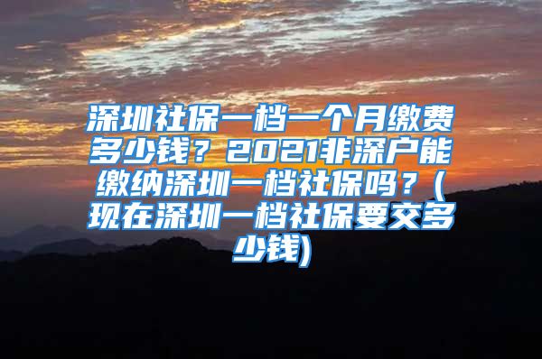 深圳社保一檔一個月繳費多少錢？2021非深戶能繳納深圳一檔社保嗎？(現(xiàn)在深圳一檔社保要交多少錢)