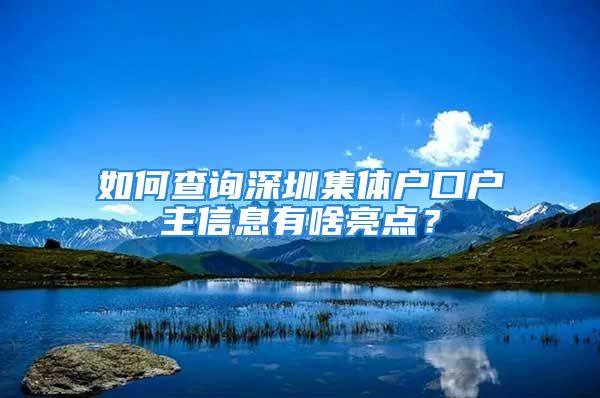 如何查詢深圳集體戶口戶主信息有啥亮點(diǎn)？